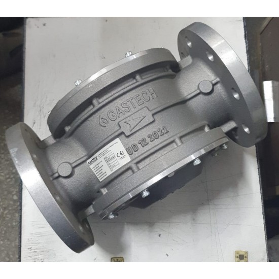 DN80 DOĞALGAZ FİLTRESİ