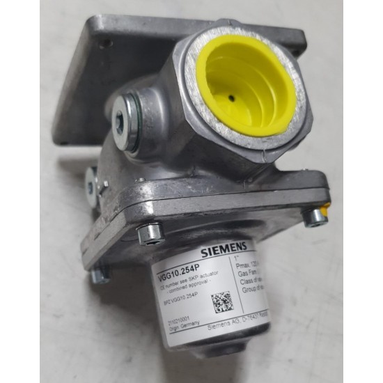 DOĞALGAZ VANA VGG 10.254P Ø1