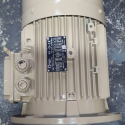 Standart Milli-fan Motoru 3kw_3000 D/d_trif_100_b5 (renk:siyah)